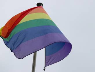Ruim 250 scholen kleuren paars voor de LGBT+-gemeenschap