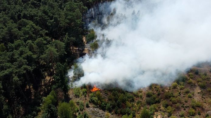 De brand in het natuur- en bosgebied Oudsbergen in de provincie Limburg.