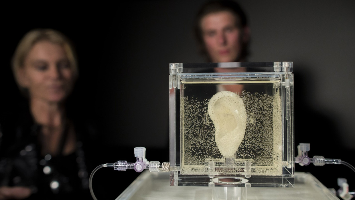 Het Oor Van Vincent Van Gogh Is Tot Leven Gewekt Het Parool