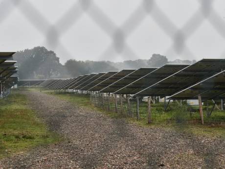 Verzet tegen zonnepark Bekenschot in Barchem deert TPSolar niet: ‘Nog voldoende aanknopingspunten’