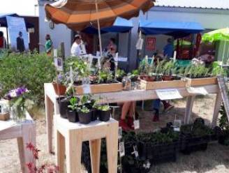 Opnieuw biomarkt in Assenede