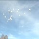 Witte ballonnen in Heverlee voor Sierre