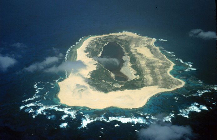 The shark attack took place off the remote island of Laysan.  The island is 1,500 kilometers away from civilization, but it has been overrun with human excrement.