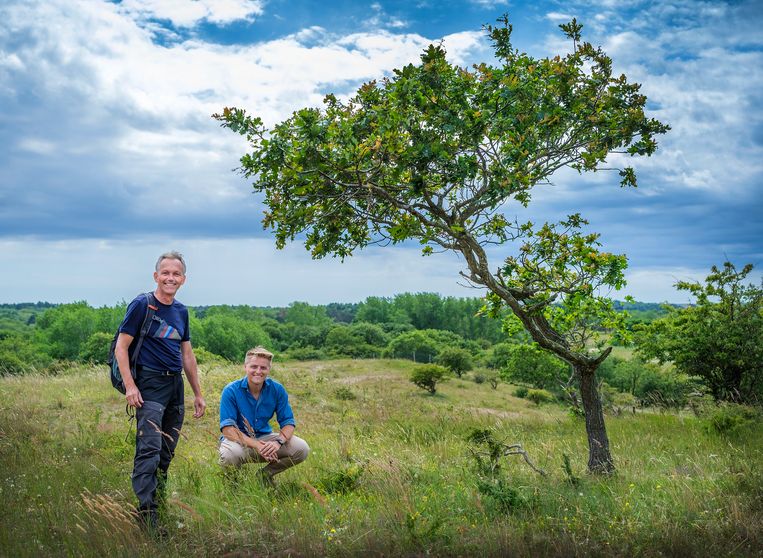 Left Mark van Til, ecologist at Waternet, and squatting Daan Kinsbergen, PhD student at the University of Amsterdam, who researches the dune areas where fallow deer cannot reach.  Picture Patrick Post