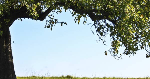 Voorlichtingsbijeenkomst in Hedel over Munnikenland