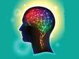 Breinbrekers trainen je hersenen maar voor één ding: breinbrekers oplossen