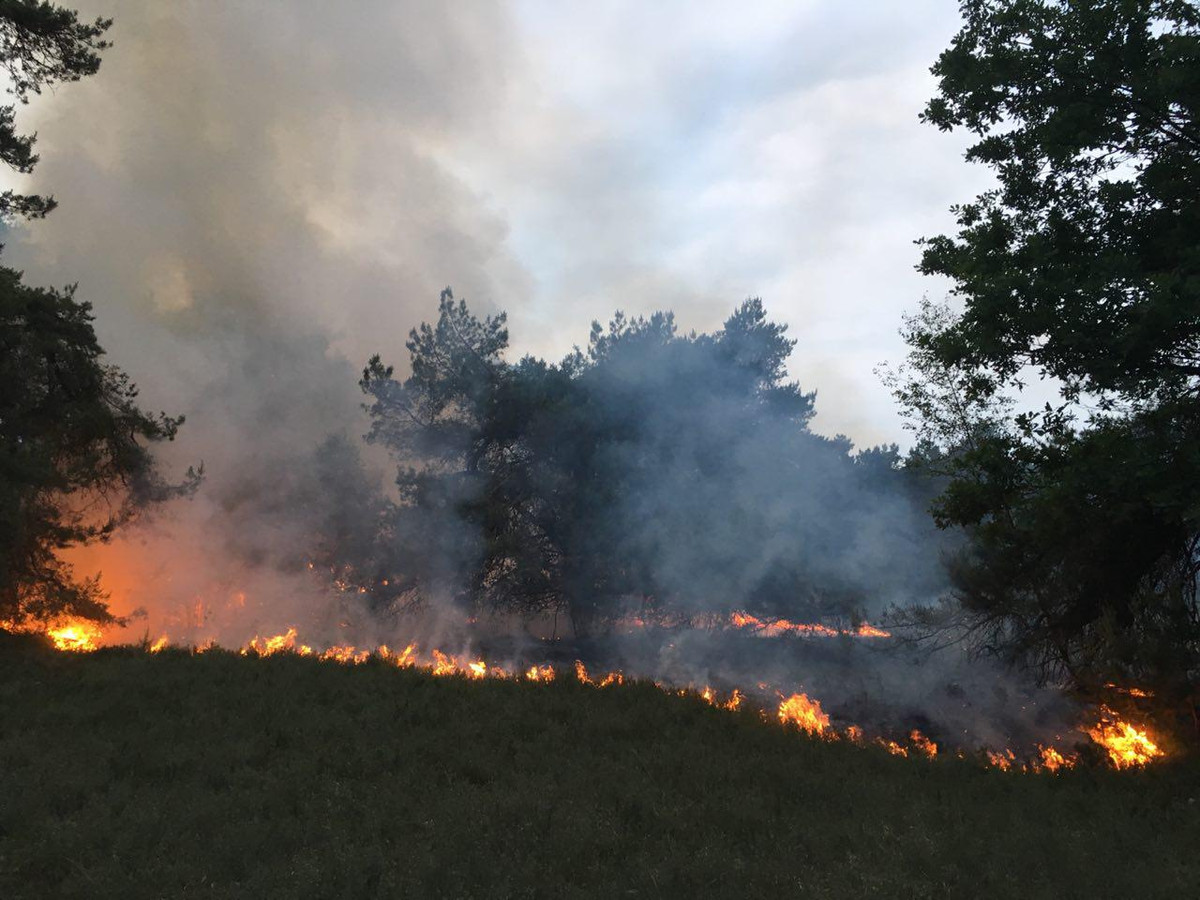 Aan de Heidepolweg in Vorden is donderdagavond een grote natuurbrand uitgebroken.
