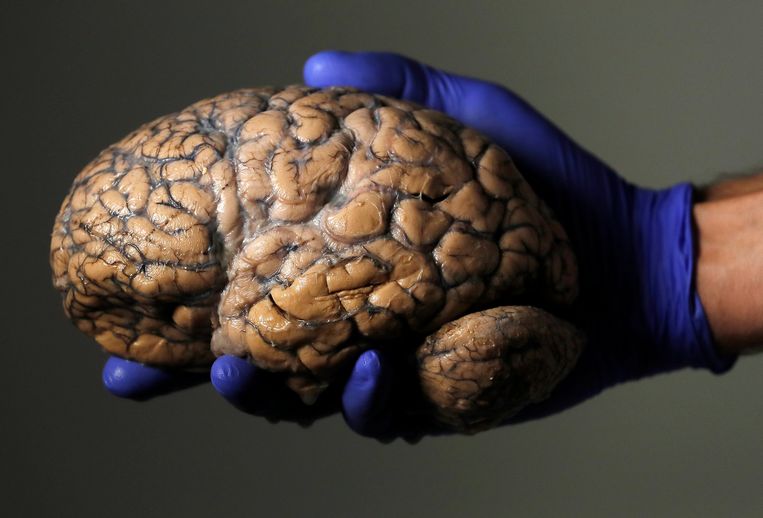 Hoogfrequent geluid zou een nieuw wapen in de strijd tegen depressies kunnen zijn. Beeld REUTERS