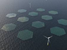 Zonnepanelen én waterstofproductie, nieuw windparken worden slimmer