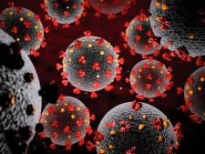 Aantal coronapatiënten in Groene Hart nu 87