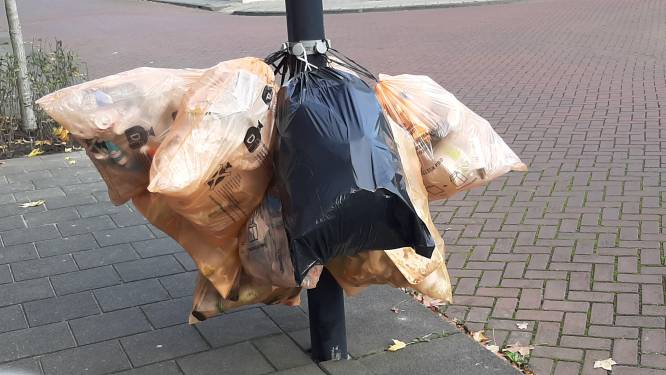 Proef met plastic afval in Roosendaal: niet aan de lantaarnpaal, maar weer ouderwets in de container
