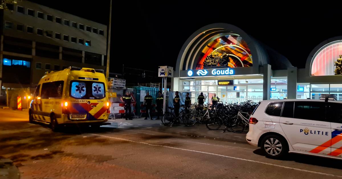 Twee gewonden bij steekpartij op station Gouda.
