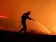 Zware bosbranden teisteren Griekenland
