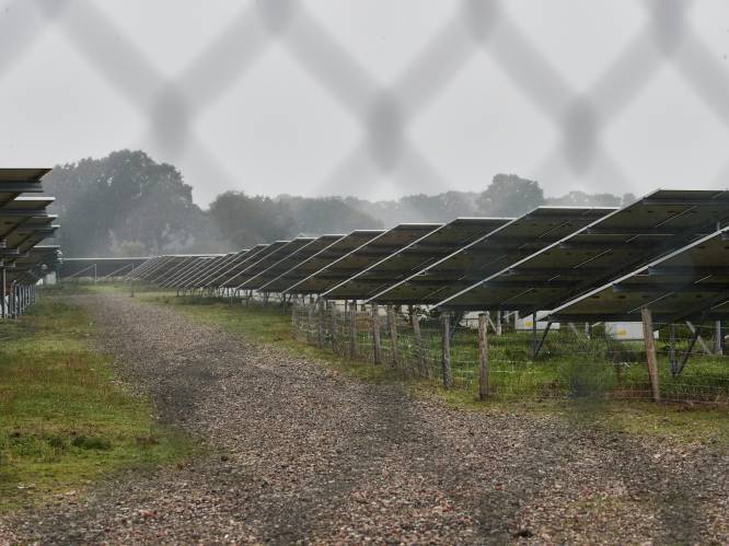 Verzet tegen zonnepark Bekenschot in Barchem deert TPSolar niet: ‘Nog voldoende aanknopingspunten’
