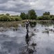 Natuurgebied Demerbroeken verwoest door regenval, door gebrekkig beleid: ‘Deze ravage is nog maar het begin’