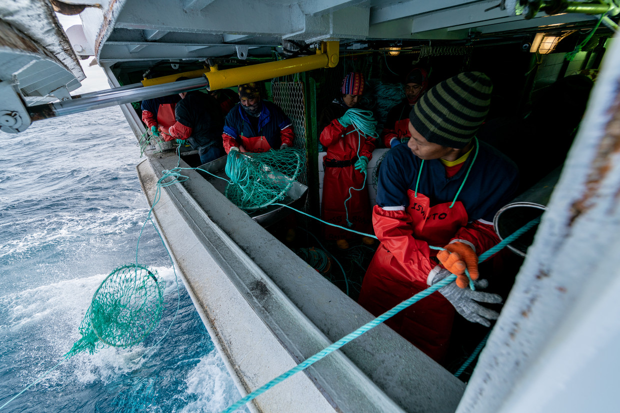Chinezen gooien hun netten uit voor de kust van Antarctica, januari 2019. Beeld The Outlaw Ocean Project