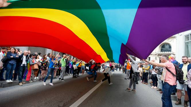 VUB en ULB opnieuw verenigd tijdens Pride 