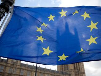 "Europese Unie acht einde brexit-onderhandelingen in 2020 moeilijk haalbaar"