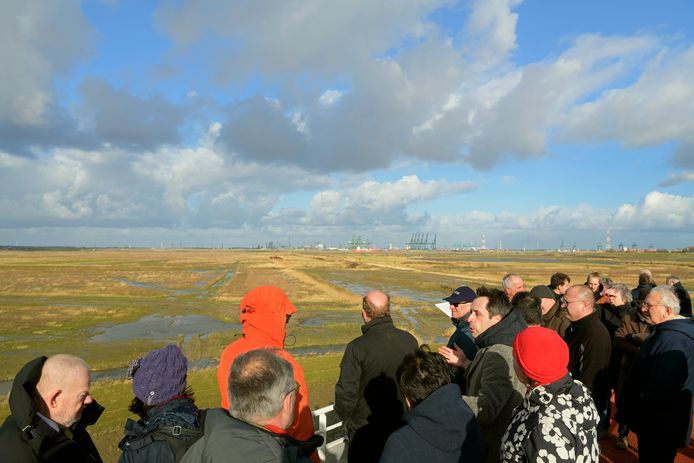 Statenleden overzien vanaf het uitkijkpunt de Hedwigepolder.