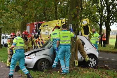 Auto botst tegen boom in Bavel, bestuurder ernstig gewond