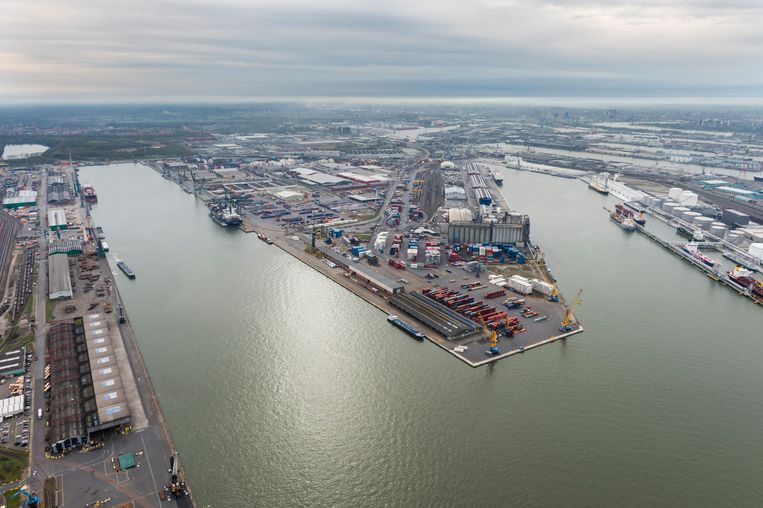 Luchtfoto van de haven van Antwerpen. Beeld Photo News