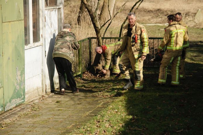 Brandweer bevrijdt ree uit hek in Helmond