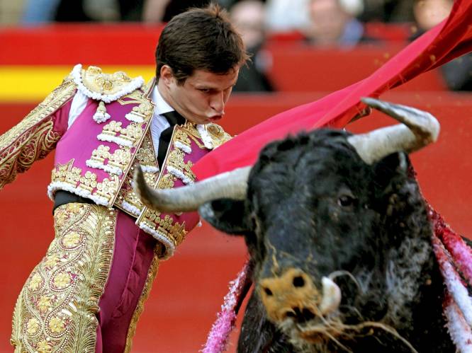 Spaanse overheid stopt met prijs voor beste stierenvechter: “Niet meer van deze tijd”