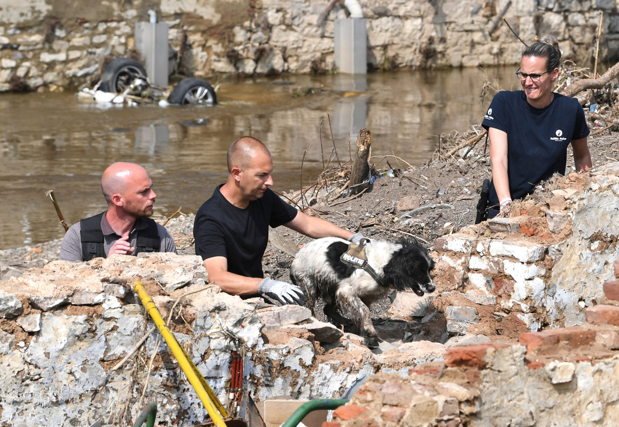 Leden van de federale politie speuren naar overlevenden en slachtoffers van de waterramp. Beeld AFP
