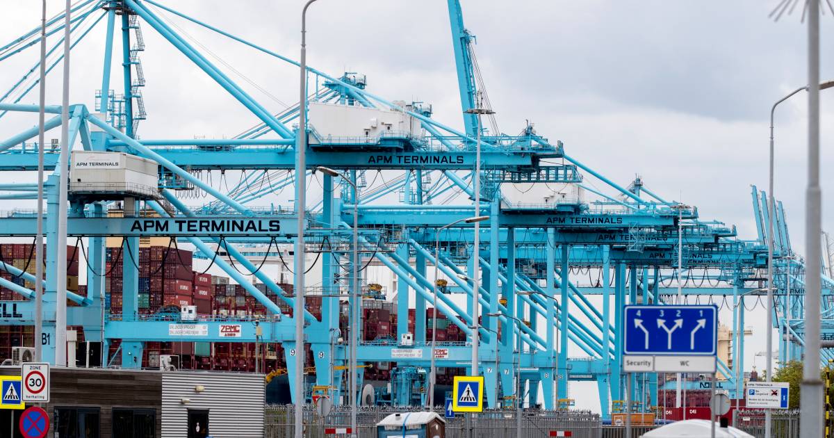 Langzaamaanacties bij containerterminal APMT-R op de Maasvlakte ...