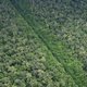 Brazilianen verzetten zich tegen versoepeling boswet
