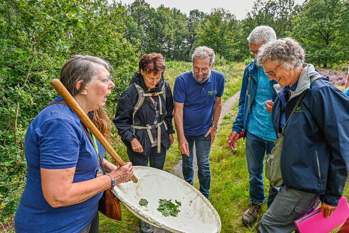 De Bergse natuurclub IVN Groene Zoom en KNNV Roosendaal houden zondag een symposium over biodiversiteit onder planten dieren, een excursie met de IVN-gidsen Fred Severin en Brigitte Kuijten en KNNV-specialisten Vera Vandenbulcke en Gerrit Groeneweg naar landgoed Zoomland, met o.a. uitleg over het vangen van insecten.