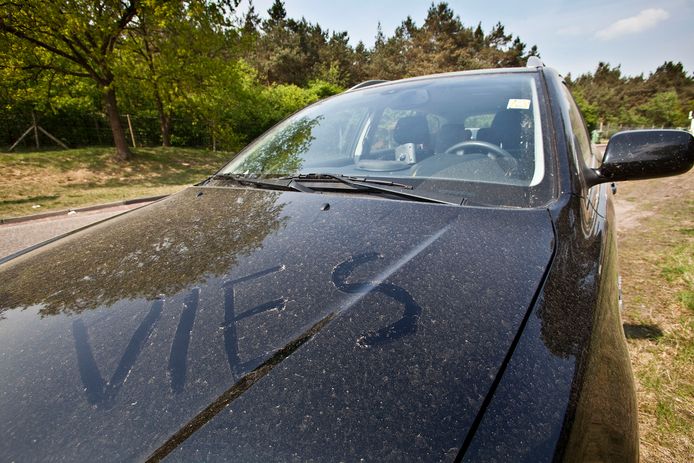 speling Moment Lief Wat is die vieze aanslag op de auto en tuinstoelen? | Auto | AD.nl