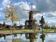 Nationale Molendagen: dit is er te doen bij Molen de Roos in Delft
