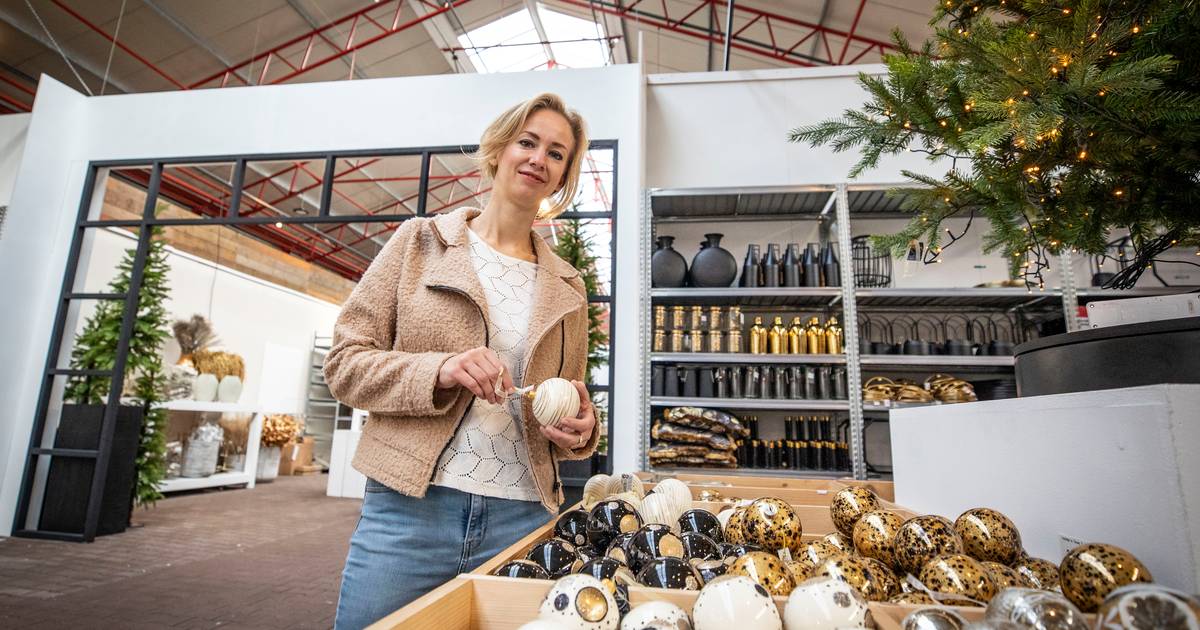 Bij tuincentrum Borghuis in Deurningen staat de kerstboom al: 'Of het niet te vroeg is? Nee hoor!' -
