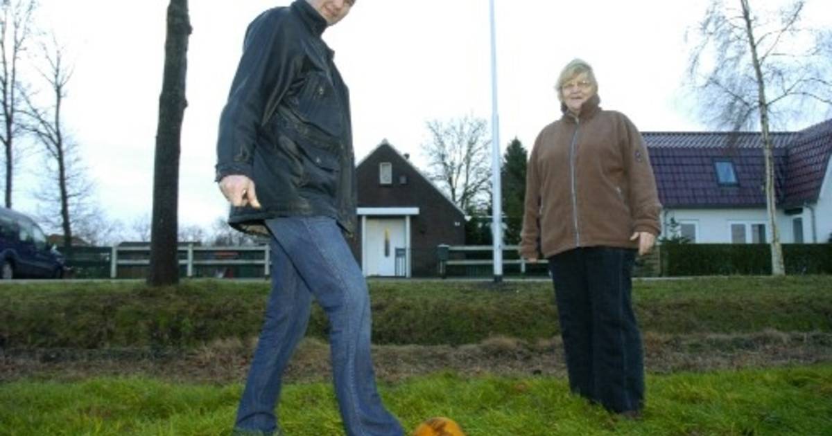 Plan voor aanleg sportveld in Rheezerveen