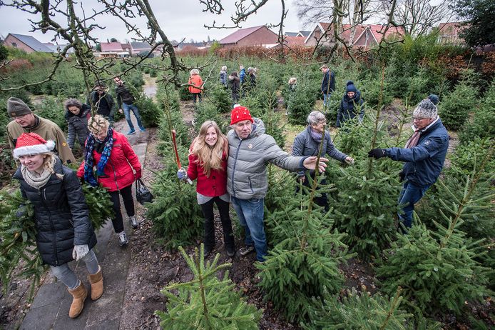 Catastrofaal Geslagen vrachtwagen Specimen Zieke Henk uit Sprundel haalt duizenden euro's op met kerstbomen | Home |  bndestem.nl