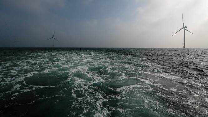 Eneco gaat radicaal vergroenen: niet in 2050, maar al in 2035 klimaatneutraal