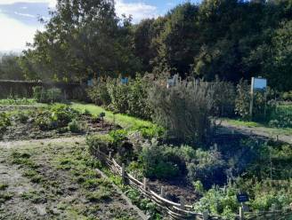 Rondleiding in de biologische moestuin Milieuboerderij