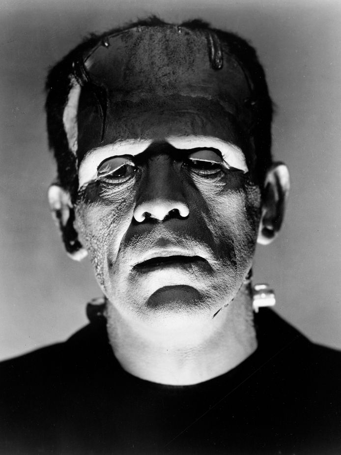 Frankenstein werd in 1931 voor het eerst vertaald naar het witte doek.