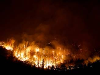 Aanhoudende bosbrand legt al meer dan 20.000 hectare in de as in Californië