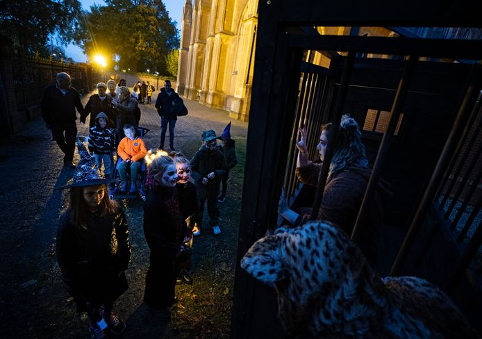 Gemert ED2021 14327 Halloween Gezinsgriezeltocht ZUTH