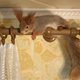 Hilarisch: familie probeert eekhoorn met allerlei attributen uit huis te jagen