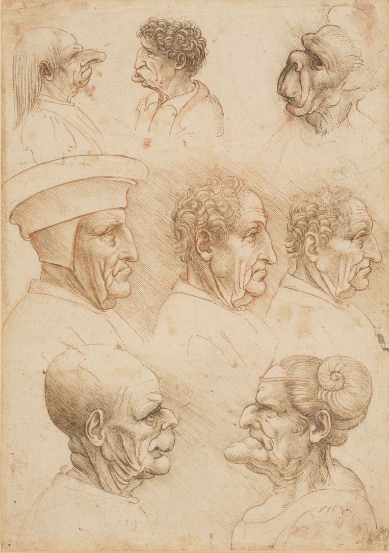 Studies van acht in meer of mindere mate vervormde hoofden van mannen en vrouwen (ca. 1490 - 1495). Beeld Royal Collection Trust / Her Majesty Queen Elizabeth II 