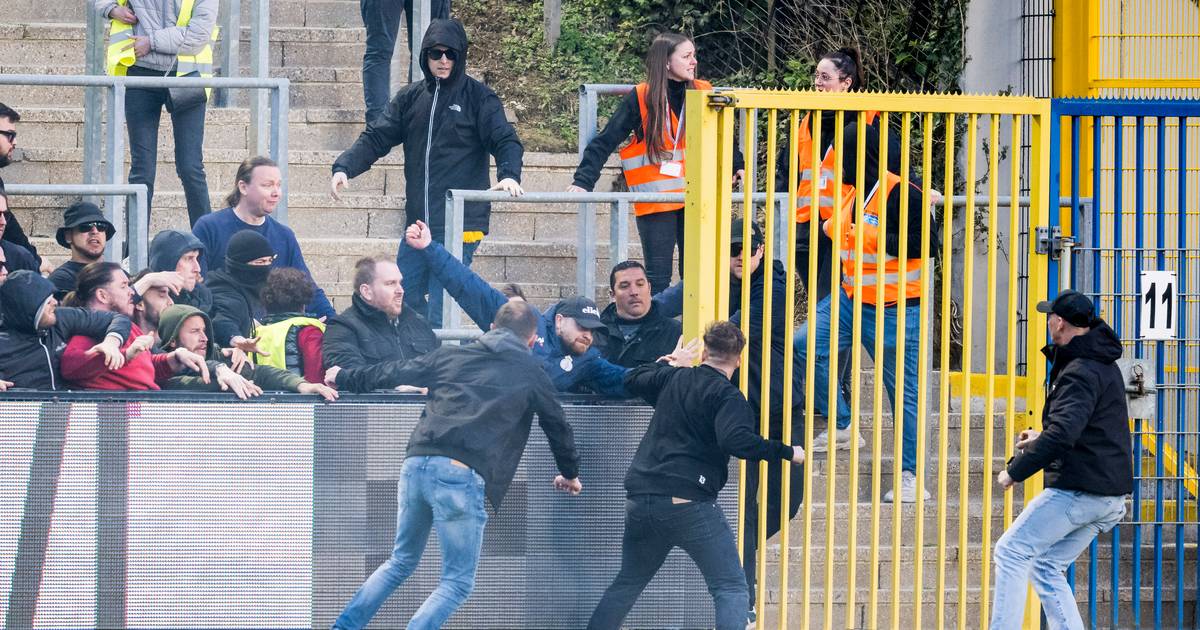 I fan di Beershot rovinano la partita: il leader sindacale ottiene tre punti sul tavolo verde dopo che la partita è stata interrotta in anticipo?  † Jupiler Pro League