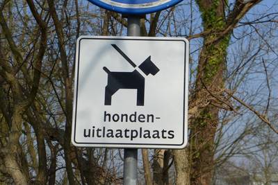 Sterkselse helden laten de hond uit en koken soep