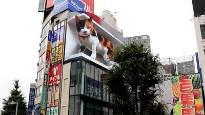 Gigantische kat houdt inwoners Tokio in de gaten