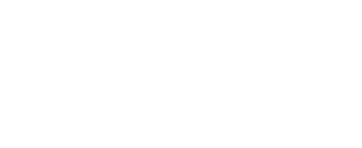 Shadow Land