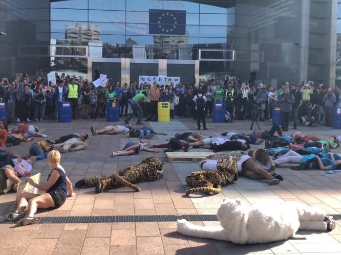 Klimaatprotest aan Europees Parlement: "België loopt achter, we mogen geen vijf jaar meer wachten"