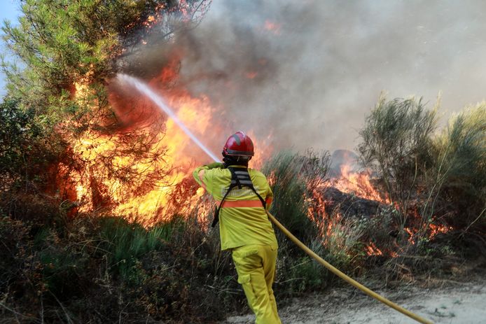 Een brandweerman bestrijdt een bosbrand in Benespera, Guarda, in het noorden van Portugal
