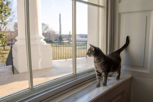 via Reuters
